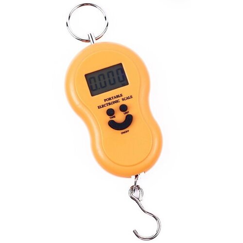        PORTABLE ELECTRONIC SCALE  50 ,  500   