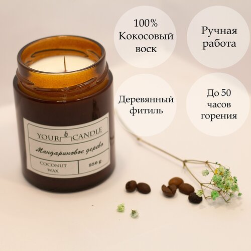    YOURCANDLE   1000