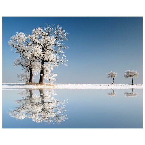      (Trees in winter) 63. x 50. 2360