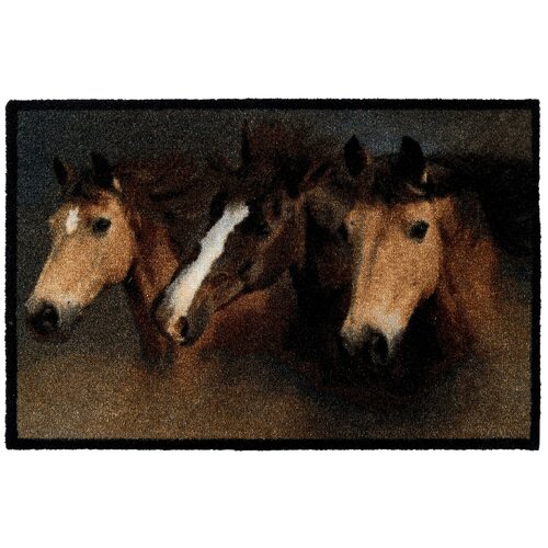 EMPIRE carpets international   DECO-UP    50x75   (23704_horses ) 807