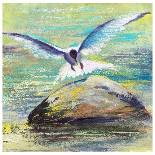       (Seagull on a rock) 60. x 60. 2570