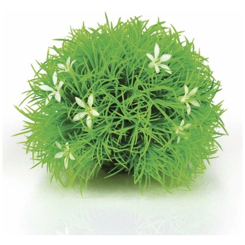    , Topiary ball with daisies 1489