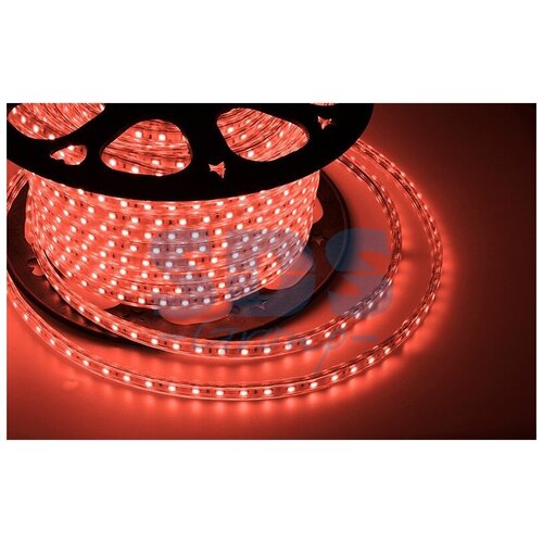 Neon-night LED  220, 10*7 , IP67 142-601 14144