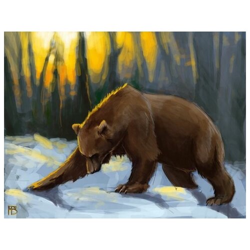     (The bear) 52. x 40. 1760