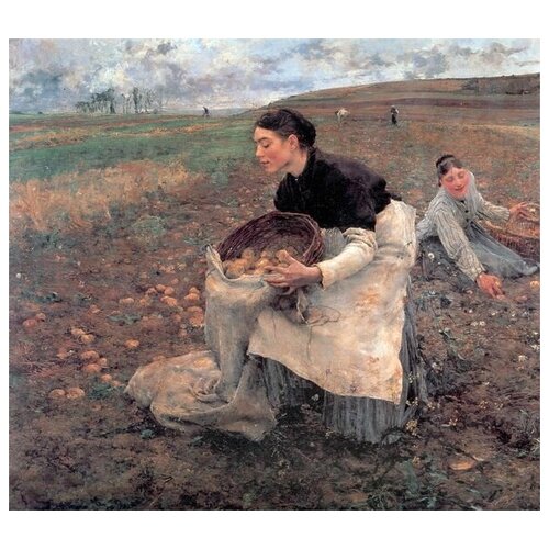       (Harvest season Doctobre in Potatoes) -  68. x 60. 2830