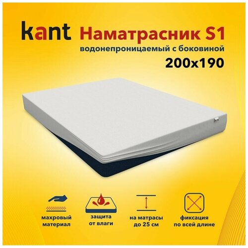  Kant    S1,20019025 2454
