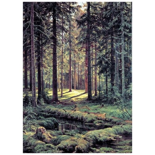     .   (Coniferous forest. Sunny Day)   50. x 69. 2530