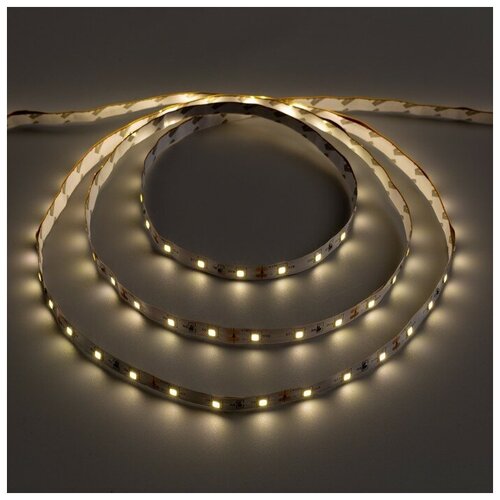   Ecola STD 5 , IP20, SMD3528, 60 LED/, 4.8 /, 12 , 2800 318