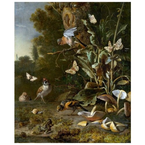    ,        (Birds, Butterflies and a Frog among Plants and Fungi)   50. x 61. 2300
