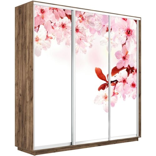 ���� �������������� �1 �������� ���� ����� �������� 240-240-45 sakura 48122�