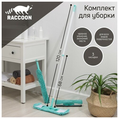 �������� ��� ������ Raccoon ��������������, 4 ��������: ���������, ������, ����� ��� ���� � ������� 1852�