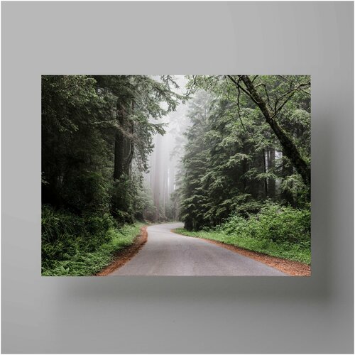    , Road in the forest 5070  ,       1200