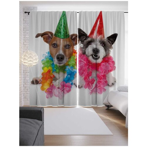 ����� JoyArty � ����������� 