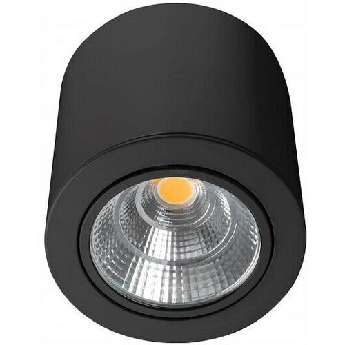   Arlight SP-FOCUS-R140-30W Day4000 (BK, 24 deg, 230V) 029537 6925