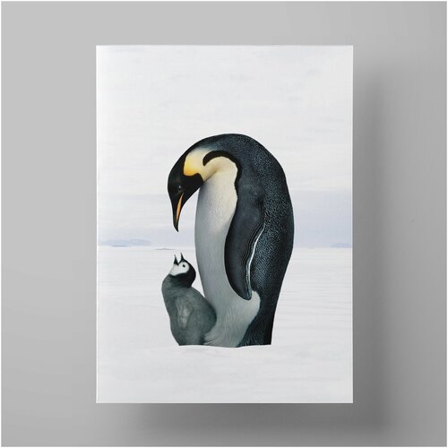   , Penguins 3040 ,    ,  590   