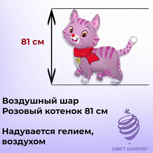 ��������� ��� ������� ������� 81�� 249�