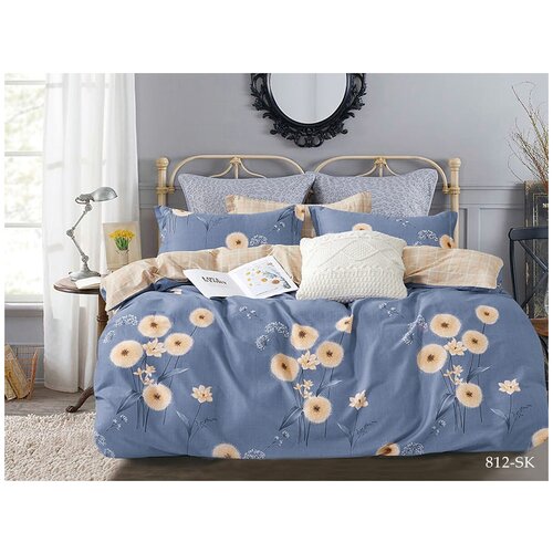 ���������� �����/2.0/�������� 230x240/��������� 50x70/�����/�LEO 3690�
