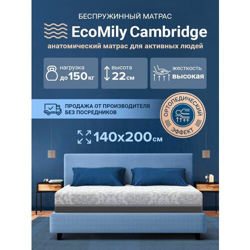   EcoMily Cambridge   39276