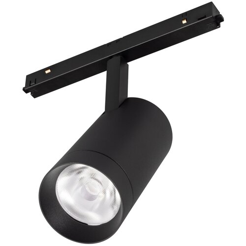  MAG-ORIENT-SPOT-R65-20W Warm3000 (BK, 24 deg, 48V) (Arlight, IP20 , 3 ) 7144