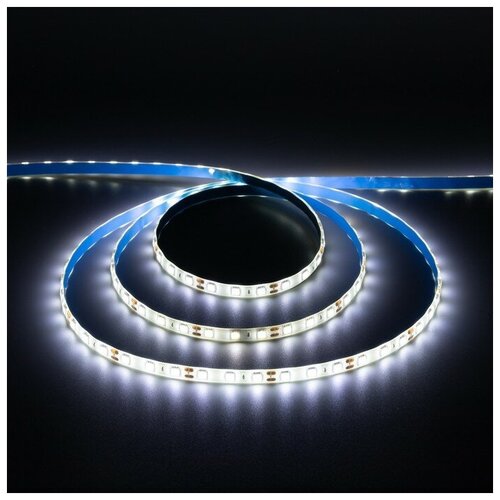   Ecola PRO, 12, SMD5050, 5 , IP65, 14.4/, 60 LED/, 4200 1273