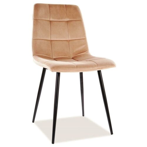 ���� �������� Signal MILA VELVET (�������/������) 10149�