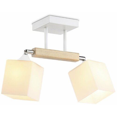  Ambrella light Traditional TR9511 2943