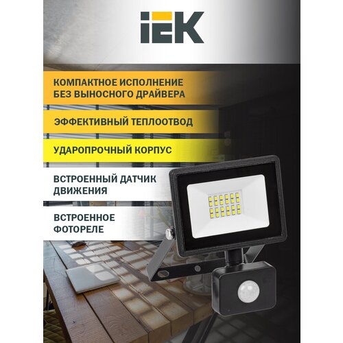   IEK  06-30,   , 30 , 6500 , IP54,  1206