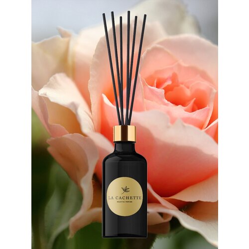   / La Cachette Melange  U316 Rose de Russie, 55  699