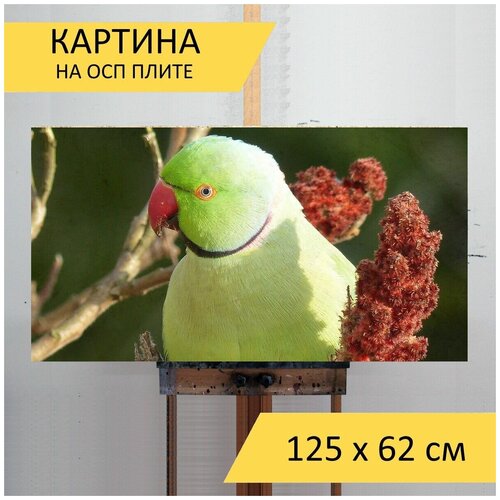 ������� �� ��� 