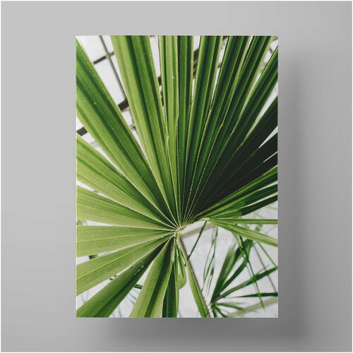    , Nature and plants 3040 ,     590