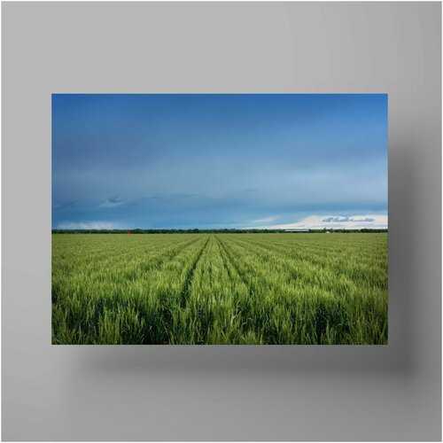  , Field 30x40 ,     590