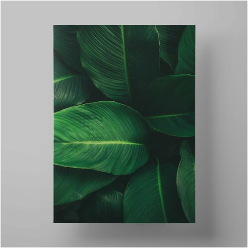  , Leaves, 5070 ,     1200