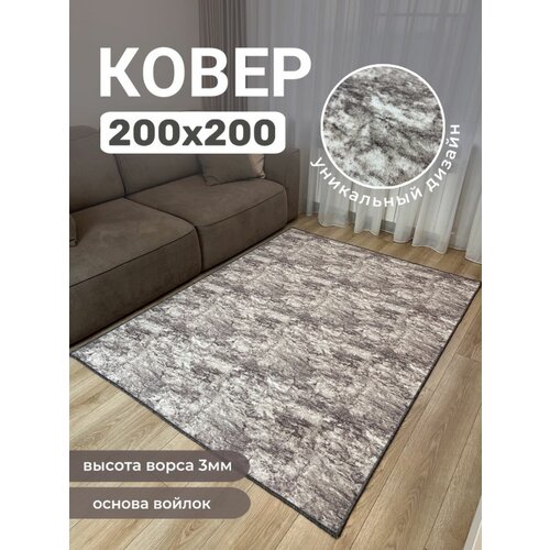   /     200200 ,  3665  Carpet culture