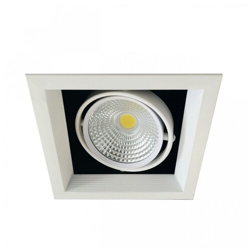     LED 1*20W, WH IL.0006.2115 831