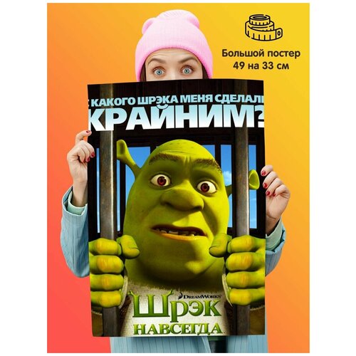  Shrek   339