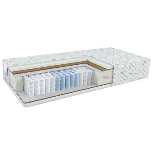 ������ Alitte Classicus Ingres TFK M-22-K 12853�