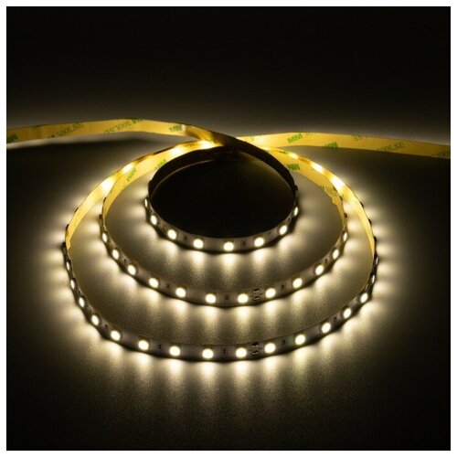 C  Ecola PRO 5 , IP20, SMD5050, 60 LED/, 14.4 /, 24 , 4200 818