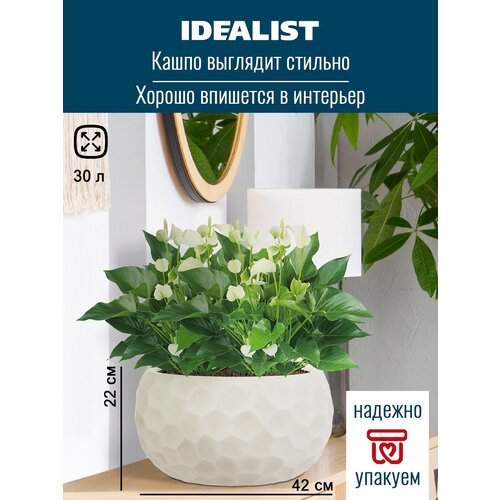     Idealist Lite  ,  , D42 H22 cm, 30 . 4420