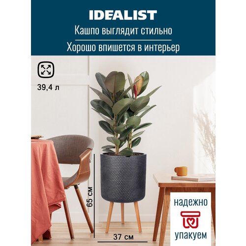   IDEALIST LITE    , , , 37 65 c 5851