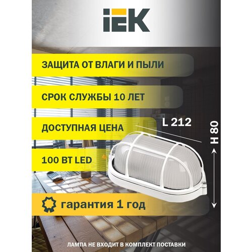  IEK 100  (LNPP0-1202-1-100-K01) 1133