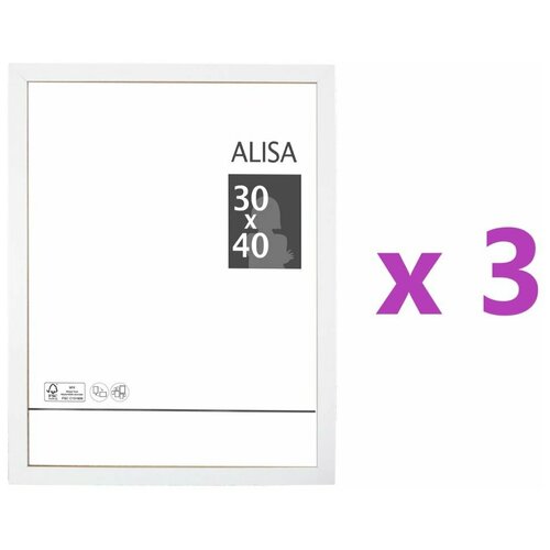 Alisa, 30x40 ,  , 3  1790
