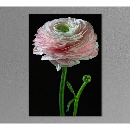 ������� ����������� �� ������ Poly Print Art 