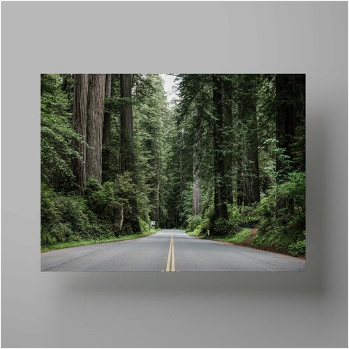    , Road in the forest, 5070 ,       1200