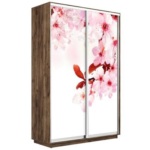 ���� �1 �������� ���� ��� ����� �������� 220-140-45 SAKURA 27741�