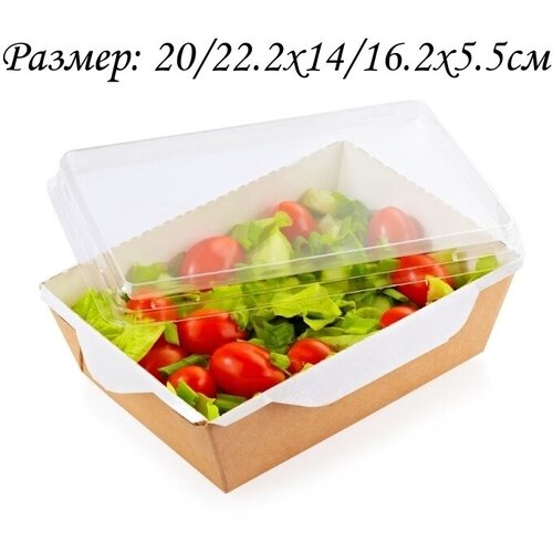  25 .    OSQ OPSALAD 1000. : 20/22.2x14/16.2x5.5. 1370