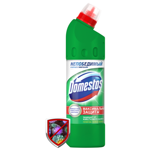 Domestos      , 0.5  149