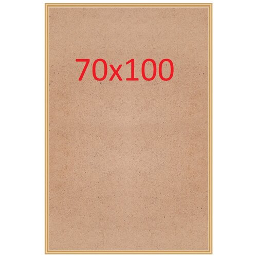  70x100 Nielsen   2 2425