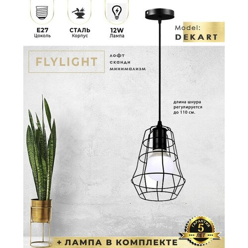   Flylight DEKART     /  12W - 4000K (),   LOFT 4926