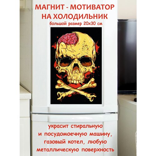 ����� ������ ������ �� ����������� 20 �� 30 �� 790�