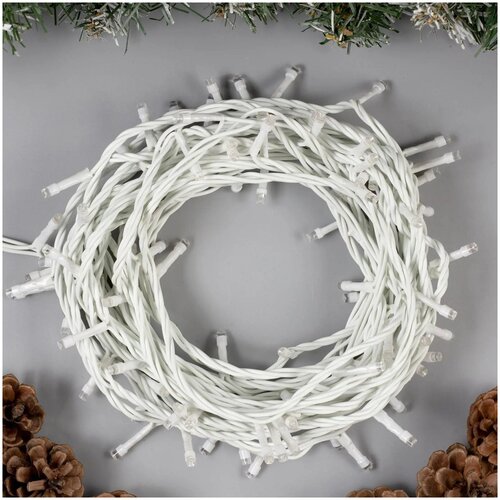 Luazon Lighting �������� ������ 10 �, IP44, ����� ����, 100 LED, �������� �����, 8 �������, 220 � 1039�